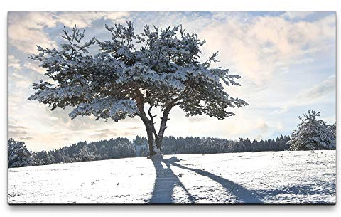 Paul Sinus Art Bilder XXL Baum im Winter 120x70cm Wandbild auf Leinwand