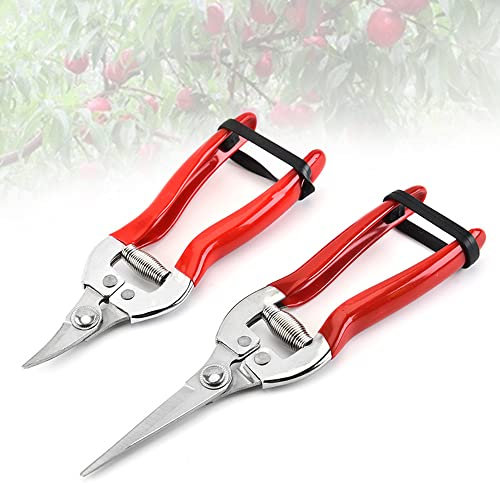 Confezione da 2 forbici da giardino con lama affilata e in acciaio inox, cesoie dritte per fiori e piante, forbici curve per rami di frutta e verdura