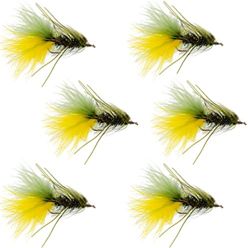 The Fly Fishing Place Conehead New Age Bugger Fliegenfischen – Set mit 6 Barsch und großen Forellenschlangen zum Fliegenfischen – 6 Fliegen, Größe 8