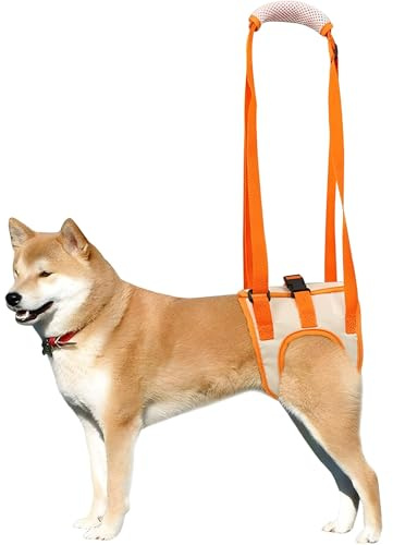 Hundegeschirr, Transportgeschirr, Dog Lift Harness Tragbarer Hebeband-Tragegurt Helfen Sie Hunden Mit Schwachen Hinterbeinen, für Verletzte Behinderte Kleine, Mittlere und Große Hunde(Größe L)