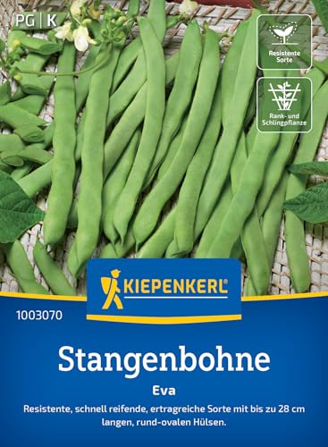 Kiepenkerl Stangenbohnensamen Eva 1003070, Gemüsesaat | Wuchshöhe 200-300 cm, fadenlos
