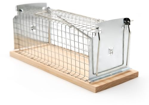 BigDean Lebendfalle Ratte – extra groß tierfreundlich & wiederverwendbar.
