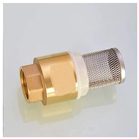 MRANADLDF Rückschlagventile G 1/2 3/4 1 Zoll DN15 DN20 DN25 Innengewinde Bodenventil Messing Einweg-Rückschlagventil Wasserpumpe Fußventil(1pc,3/4Inch)