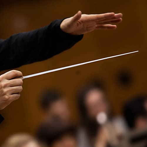 SHUAIGUO Professionell Orkesterledare Baton - Balanserad Glasfiberaxel, Bekvämt Hartshandtag, Starkt och Lätt, Idealisk för Musiker och Lärare (Gul)