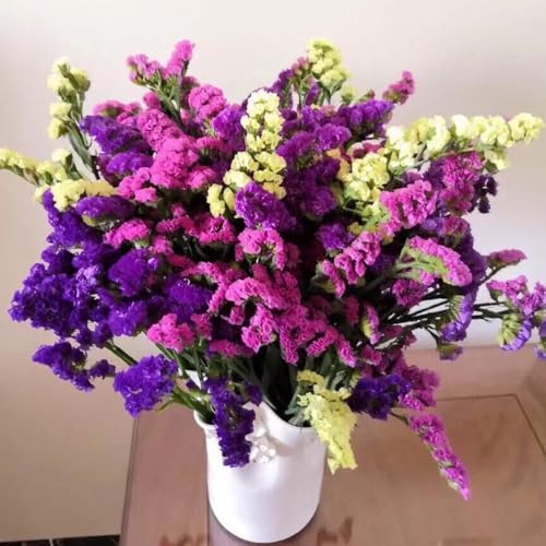 vergissmeinnicht geschenk steingartenpflanzen winterhart, balkon vergiss mein nicht blumensamen mehrjährig winterhart blumenbeet exotische 500samen