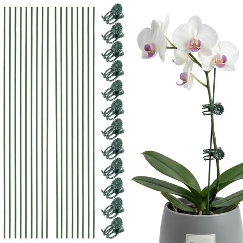 20 Stück Pflanzenstützen Orchideenstäbe mit 20 Pflanzenclips, Flexible Pflanzenstütze Orchideenstab Pflanzenklammern Set für Orchideen Blumen Gemüse Drinnen Draußen