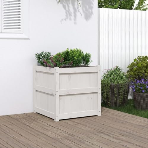 ZEYUAN Jardinière d'extérieur Blanc 60x60x60 cm Bois de pin Massif,Jardiniere sur Pieds,Bac avec Treillis,Jardiniere Terrasse