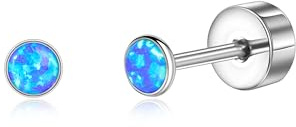 Titan Ohrringe Hypoallergen G23 Titan Ohrstecker mit Schraubverschluss | 20G Kleine Titan Ohrstecker für Damen Herren Mädchen, Ohrstecker für Ohrläppchen und Knorpelpiercings
