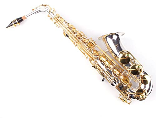 Karl Glaser Saxophone Alto, argent/or, avec étui