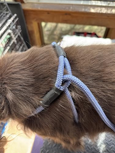 All in One No Pull Leash/Harness - Lead Me Leash - No Neck Damage - Stops Pulling-Blue-with Matching Key Chain