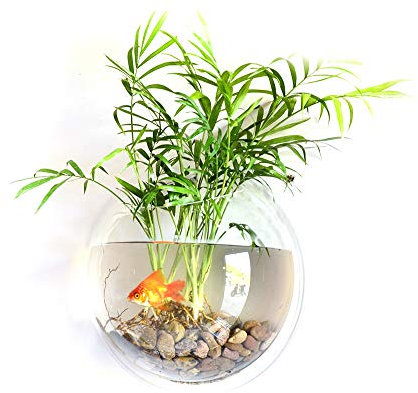 Hylotele Mural Bocal à Poissons Boule, Décoration de la Maison Goldfish Bowl Créatif Acrylique Suspendu Aquariums Plante Pot Réservoirs de Poissons Vase À Fleur