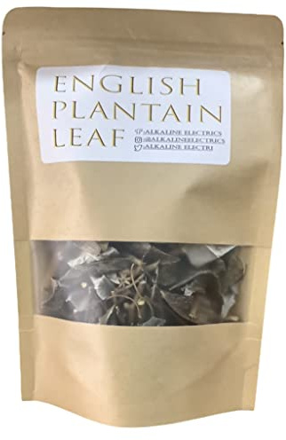 English Plantain Leaf | Plantago Lanceolata | Wildcrafted from Jamaica | Broadleaf Plantain Tea | Resealable Bag to Maintain Freshness | 100% Natural and Non GMO | 1oz