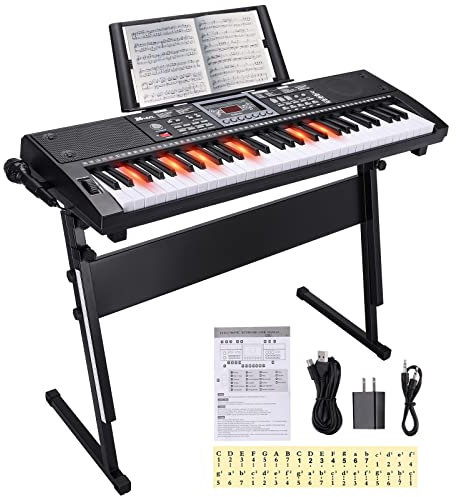 24HOCL 61 Key Premium Electric Keyboard Piano for Beginners with Stand, Built-in Dual Speakers, Microphone, Headphone, Stand & Display Panel (Schwarz)
