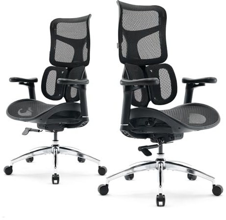 SIHOO Bürostuhl Ergonomischer-Mit Dualer Dynamischer Lordosenstütze, Schreibtischstuhl with 5-Fach Verstellbarer Rückenlehne, Office Chair with 4D-koordinierten Armlehnen(S100 Schwarz)