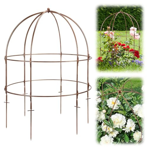 NNG 26 Inch Bird Cage Plant Support, Metal Grow Through Flower Trellis Cage with Dome Top, Garden Plant Support for Peonies Hydrangeas Tomatoes and Climbing Vines
