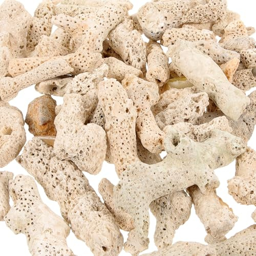 iplusmile Filtre Aquarium Naturel Corail pour Eau Douce Média Filtrant Réutilisable Haute Perméabilité Filtration pour Bassin Poissons et Tortues