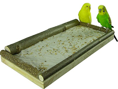 VogelKing Sitzbrett für Vögel Klein - Mittel - Groß | Vogelsitzbrett für Sand und Futterkörner | Beliebt bei Wellensittichen, Finken, Nymphensittiche, Kleinpapageien UVM.