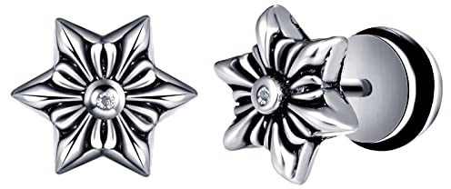 feilok Örhängen för män silver sexuddiga stjärnörhängen herrörhängen rostfritt stål örhängen kit smycken piercingar för män