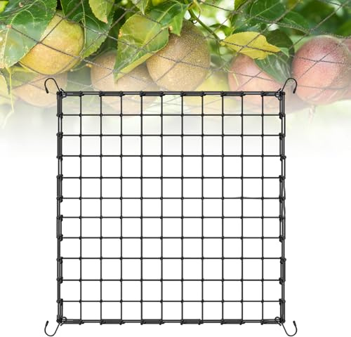 Dunkwckore Rete per Piante Rampicanti, 120×120 cm Supporto Piante Tenda, Rete Elastica Traliccio Giardino con 4 Ganci, Griglia Esterno Alte Prestazioni Frutta Crescita Verticale, Extensible 180×180 cm