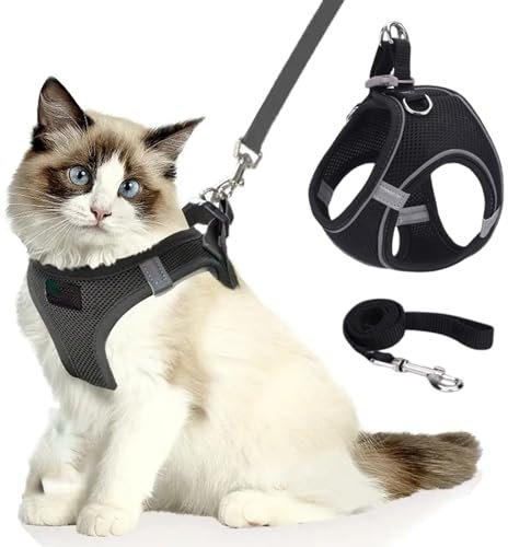 Katzengeschirr, Katzenleine Mit Geschirr füR Katzen, Atmungsaktive Bequemes Anti Ausbruch Geschirr für Katzen Mit Reflektierenden Streifen (schwarz,XXS)