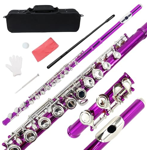 YoungMonic C-Flöten, geschlossenes Loch, 16 Tasten, Flöte für Anfänger, Studenten, rosa Nickel, Flöteninstrument mit Reinigungsset, Tragetasche, Handschuhen, Stimmstab (02)
