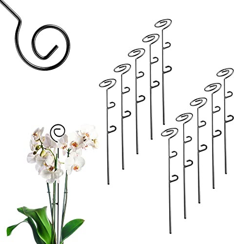 KADAX Blumenstütze, 10 Stück, Pflanzenstütze aus Stahl, Höhe: 50 cm, dekorative Stützstäbe für Orchideen, Blumen, Pflanzen, Zimmerpflanzen, Blumentopf, Rankhilfe, Rankstäbe (Spirale)