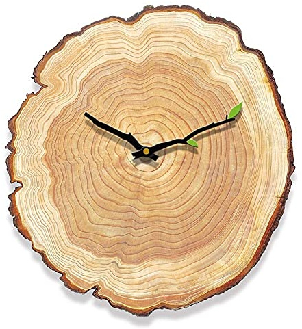 BTZHY Horloge Murale,Horloges Murales Nordic MDF Anneau Annuel Horloge Murale Creative Salon Chambre Silencieux Non-tic-tac Montre Suspendue Tableaux Muraux Horloges Ferme Horloge
