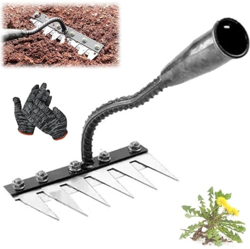 Rastrello in ferro 2.0, 5/6/7/8 denti, in acciaio al carbonio, rastrelli da giardino, mano da giardinaggio, per lavori pesanti, per giardinaggio, coltivazione, allentamento, pacciamatura (6 denti)