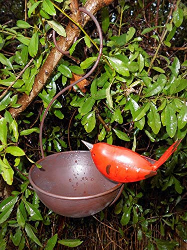 Deko-Impression Vogeltränke Vogelbad Vogel-Futterstelle z. Hängen Eisen mit Vogel in rot