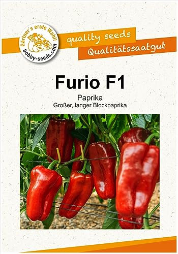 Paprikasamen Furio F1 Paprika Portion