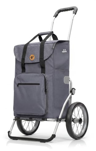 Andersen Einkaufstrolley - klappbar - 45 Liter - mit Kühlfach | Aufhängung für Einkaufswagen - belastbar 50 kg - Aluminium - Metallspeichen-Rad Ø 25 cm - Royal Shopper Wismar silbergrau