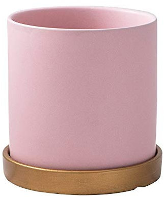 DSHUB Keramik-Blumentopf im modernen Stil, matt, nordischer Sukkulenten-Blumentopf, Keramik-Blumentopf, Kaktus-Pflanztopf, Heimdekoration, Behälter, Schreibtisch, Mini-Ornament (Farbe: Rosa, Größe
