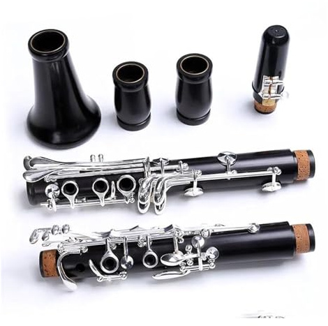 17-Tasten-Korpus Aus Ebenholz B-Klarinette Versilberte Tasten Klarinetteninstrument Aus Massivem Holz Klarinettenset