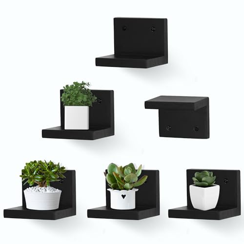NIUBEST Small Floating Shelf for Wall Set of 6,Mini Shelves for Display Small Figurine,Plant,Collectibles, Wall Shelves for Bedroom Living Room Bathroom Kitchen Decor（Black）