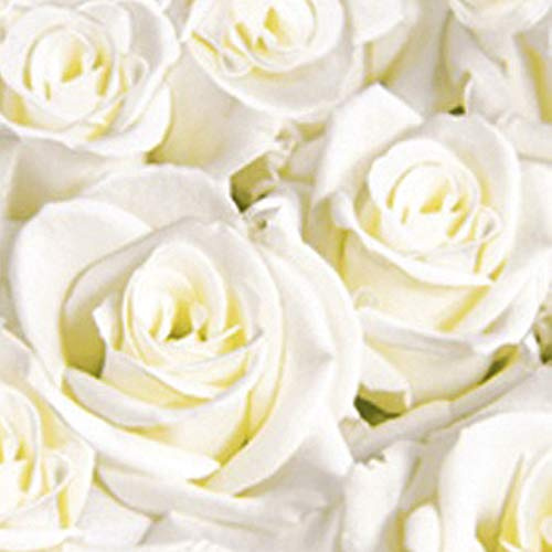 Duni Dunisoft Servietten White Dreams 40x40 1/4 Falz 60 Stück, Duni Servietten White Dreams