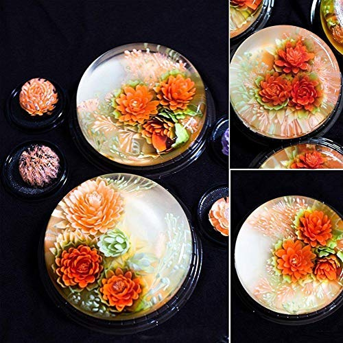3D Gelatin Jelly Art Tools, Starall 11 Pcs/Set 3D Jelly Pudding Flowers Art Tools Stainless Steel Pastry Nozzles Syringe Cakes Gelatin Decorating Tool