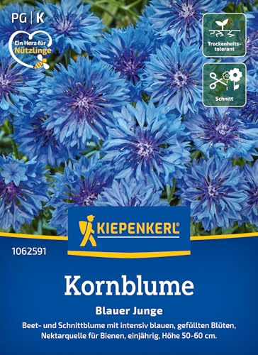 Kiepenkerl Kornblumensamen Blauer Junge 1062591 - Blumensamen für Beet- und Schnittblumen mit einer Wuchshöhe von 50 bis 60 cm und Inhalt für 80 Pflanzen - Saatgut