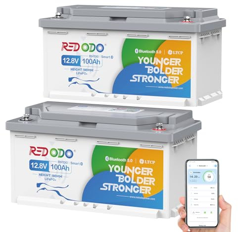 Redodo 12V 100Ah H190(2 Pack) Batterie Lithium avec Bluetooth 1280Wh Batterie LiFePO4 avec Protection Low-Temp BMS 100A Hauteur 189mm Parfaite pour Camping-Car