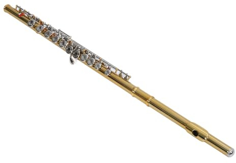Aramox C-Flöte mit 16 Tasten, Blechbläser-Einsteigerflöte, Leicht zu Spielendes Instrument für Studenten, Musikliebhaber und Angehende Musiker