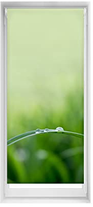 Blindecor Easyfix Plissee-Rollo, Bedruckt, Zen, 65 x 150 cm