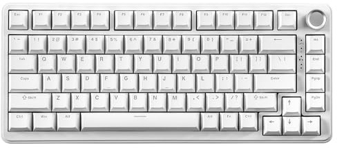 YUNZII B75 Teclado Mecánico,75% Teclado Hot Swappable,Teclado de Juego con Knob,RGB Backlit Gasket Gaming Teclado con Double-Shot PBT Keycaps,Cherry Profile (White, Blue Grey Tactile Switch)
