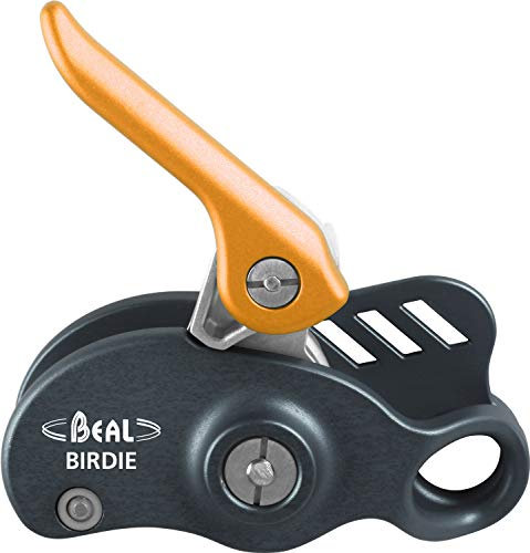 Beal Birdie Orange - Bremsunterstützendes kompaktes Sicherungsgerät, Größe One Size - Farbe Orange