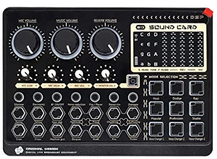 RUHEN Carte Son Externe multifonctionnelle, mixeur Audio, 14 Effets pour l'enregistrement Musical et la Diffusion en Direct