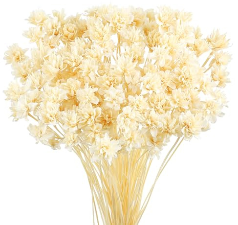 Larber 100 Pezzi Fiori Secchi Brasiliani Fiori Mini Fiori Secchi Fiori Naturali Gypsophila Casa Piccola Stella Decorativi Brasiliani Disposizione Floreale Fiore Bouquet Confezione Regalo (Bianco)