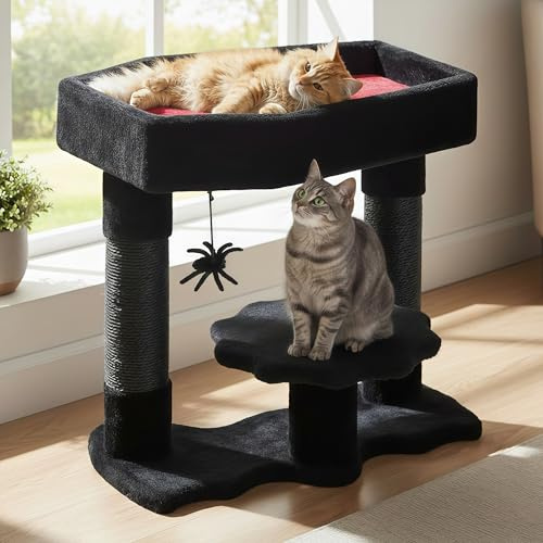 BEWISHOME Katzenbaum Turm für Indoor Gothic Katzenbäume mit Sarg Bett, Gothic Katzenhaus mit Kratzstämmen, Katzenregale mit Spinne Spielzeug, Gruseliger Sarg Schwarz mit Rot, Klein MMJ91R