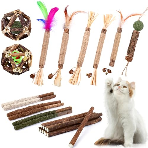 WOUSEDO Catnip Chew Toys for Cats, 24 Pack Cat Toys with Silvervine Sticks, Natural Silvervine Stick Cage Balls & Bell Balls for Indoor Cats