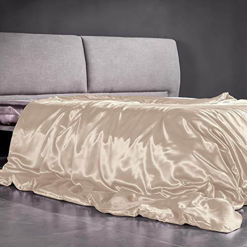 THXSILK Bettbezug Seide 200x220, Weiss 22 Momme Reine Seide Bettwäsche Champagner Bettbezüge