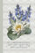 July - Larkspur and Water Lily: Birth Flower Notebook