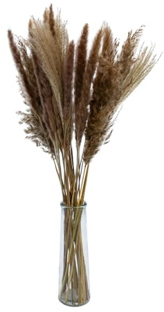 Getrocknetes Pampasgras Bouquet in Glasvase - 72 cm - Ziergras | Ziergras Arrangement, Echte Trockenblume, Schilfgras Wedel, Natürliche Boho Dekoration
