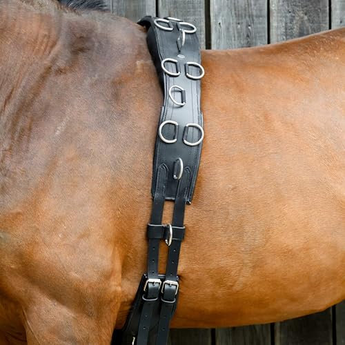 Heinick-Reitsport anatomisch geformter flexibeler Qualitäts Leder Longiergurt ~ Schwarz